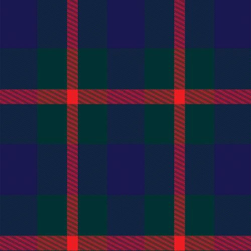 Agnew Modern Tartan Heavyweight 16oz